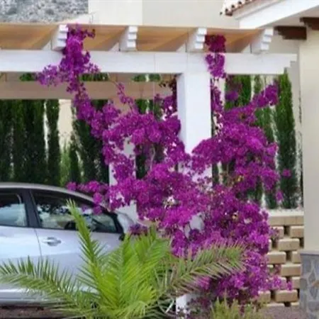 Villa Villa Aspe Aspe